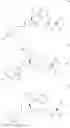 Fig. 216 - INHIBITORS OF INTERLEUKIN-1 BETA CONVERTING ENZYME