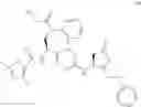 Fig. 241 - INHIBITORS OF INTERLEUKIN-1 BETA CONVERTING ENZYME