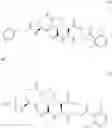 Fig. 262 - INHIBITORS OF INTERLEUKIN-1 BETA CONVERTING ENZYME
