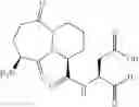 Fig. 340 - INHIBITORS OF INTERLEUKIN-1 BETA CONVERTING ENZYME