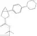 Fig. 168 - Azabicyclohexanes