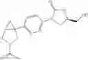 Fig. 18 - Azabicyclohexanes