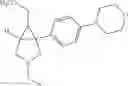Fig. 206 - Azabicyclohexanes