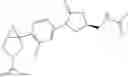 Fig. 23 - Azabicyclohexanes