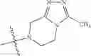 Fig. 468 - Azabicyclohexanes