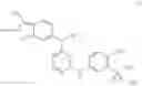 Fig. 09 - TREATMENT METHOD