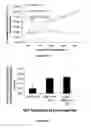 Fig. 06 - METHODS AND COMPOSITIONS FOR TREATING CANCERS