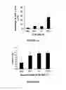 Fig. 07 - METHODS AND COMPOSITIONS FOR TREATING CANCERS