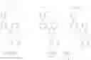 Fig. 103 - SPIROCYCLIC HETEROCYCLIC DERIVATIVES AND METHODS OF THEIR USE