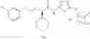 Fig. 121 - Urea glucokinase activators