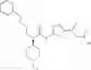 Fig. 30 - Urea glucokinase activators