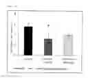 Fig. 05 - AGENT FOR REDUCING VISCERAL FAT WEIGHT