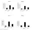 Fig. 03 - INFLAMMATORY EYE DISEASE