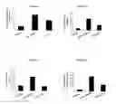 Fig. 04 - INFLAMMATORY EYE DISEASE