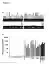 Fig. 02 - Compositions and Methods for Therapy and Diagnosis of Cancer