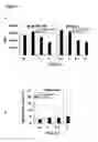 Fig. 06 - Compositions and Methods for Therapy and Diagnosis of Cancer