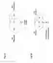 Fig. 02 - Use of inhibitors of Zdhhc2 activity for modulation of adipogenesis