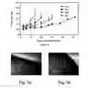 Fig. 05 - Pharmaceutical compositions and methods useful for modulating angiogenesis, inhibiting metastasis and tumor fibrosis, and assessing the malignancy of colon cancer tumors