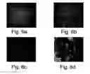 Fig. 06 - Pharmaceutical compositions and methods useful for modulating angiogenesis, inhibiting metastasis and tumor fibrosis, and assessing the malignancy of colon cancer tumors
