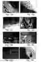 Fig. 16 - Pharmaceutical compositions and methods useful for modulating angiogenesis, inhibiting metastasis and tumor fibrosis, and assessing the malignancy of colon cancer tumors