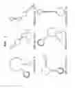 Fig. 02 - Aptamer for chymase, and use thereof