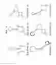 Fig. 03 - Aptamer for chymase, and use thereof