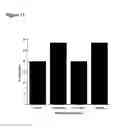 Fig. 12 - Use of one or a combination of phyto-cannabinoids in the treatment of epilepsy