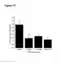 Fig. 19 - Use of one or a combination of phyto-cannabinoids in the treatment of epilepsy