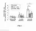 Fig. 02 - ORAL COMPOSITION FOR ALLEVIATING ROUGH SKIN