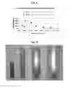Fig. 06 - Polyester articles having simulated metallic or pearlescent appearance