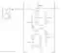 Fig. 16 - Styrene-butadiene copolymer highly functionalized with reactive polyol and manufacturing method thereof