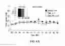 Fig. 07 - OXYNTOMODULIN ANALOGS