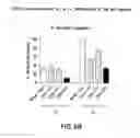 Fig. 10 - OXYNTOMODULIN ANALOGS