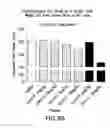 Fig. 18 - OXYNTOMODULIN ANALOGS