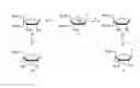 Fig. 01 - Synthesis of locked nucleic acid derivatives