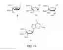 Fig. 13 - Synthesis of locked nucleic acid derivatives
