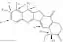 Fig. 02 - Camptothecin derivatives
