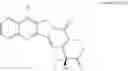 Fig. 100 - Camptothecin derivatives