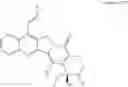 Fig. 20 - Camptothecin derivatives