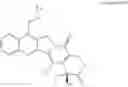 Fig. 22 - Camptothecin derivatives