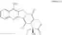 Fig. 24 - Camptothecin derivatives