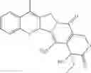 Fig. 36 - Camptothecin derivatives