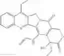 Fig. 42 - Camptothecin derivatives