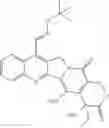 Fig. 45 - Camptothecin derivatives