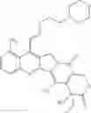 Fig. 47 - Camptothecin derivatives