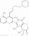 Fig. 49 - Camptothecin derivatives