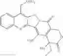 Fig. 50 - Camptothecin derivatives