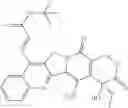 Fig. 78 - Camptothecin derivatives