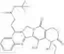 Fig. 81 - Camptothecin derivatives