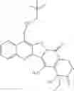 Fig. 97 - Camptothecin derivatives